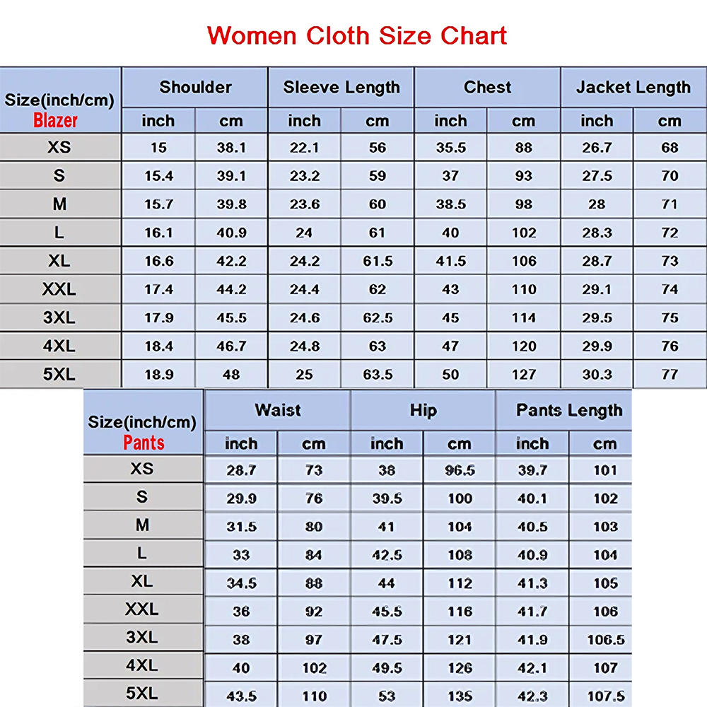 Classic Grey Women's Suit Set  - Women'S Formal Wear Pants Suit review and price
